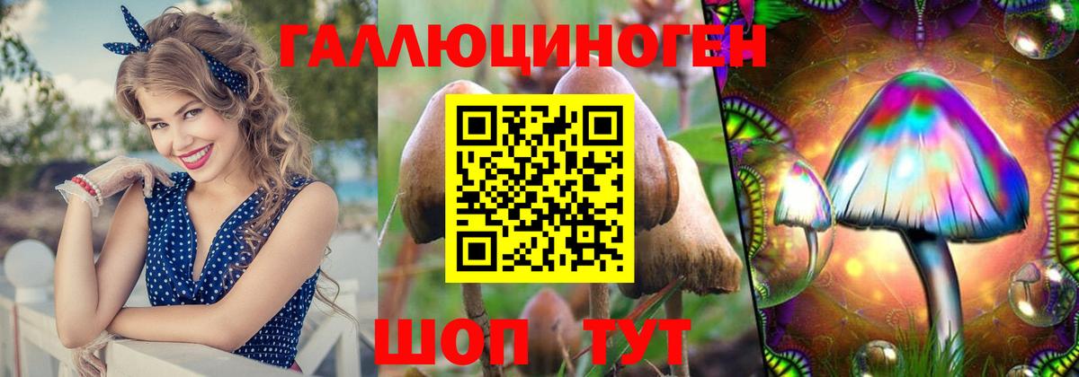 Галлюциногенные грибы Psilocybine cubensis Стрежевой